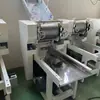 Máquina de Fazer Macarrão Automática Nova Comercial Grande Prensa Elétrica de Massa Máquina Multifuncional de Amassar e Cortar Integrada Macarrão Fresco
