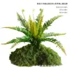 Musgo Sintético Decoración Suave para Interiores Conjunto de Micro-Paisajismo Combinación Ventana Pasillo Musgo Falso Planta Verde Decoración de Paisajismo Arreglo