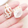 Agujero Recto Marrón Blanco Natural Concha Arena Arroz Caracol Cuentas Espaciadoras Colgante de Concha Marina Pulsera Collar DIY Accesorios de Joyería