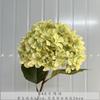 Simulación de 192 piezas de pétalos rotos de hortensia para boda, hortensia boutique blanca verde, hortensia suave para jardín casero