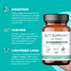 Cápsulas para Limpieza Intestinal de Venta Caliente Comercio Exterior Transfronterizo Soporte Intestinal Venta Directa de Fábrica