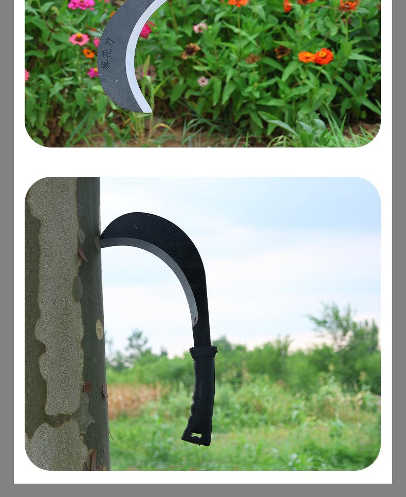 葵花刀详情_13.jpg