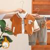 Traje con Forro de Felpa para Niños Invierno Engrosado 2025 Nuevo Estilo de Invierno Chaqueta de Béisbol Oso Bordado con Toalla Trendy para Niños Conjunto de Tres Piezas