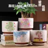 Vaso de flor de suculenta em cerâmica com prato, oferta especial, diâmetro grande, tamanho grande, vaso criativo para suculentas de casa