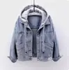 Chaqueta de mezclilla, nueva para primavera y otoño, estilo coreano vintage, corte ajustado, con capucha, chaqueta corta, top casual versátil para estudiante