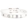Produtos para animais de estimação DIY, roupas mais vendidas, com letras de diamante, corda de tração, acessórios para coleira de pescoço, coleira de couro PU para cachorro