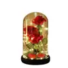 Cubierta de Vidrio de Rosa Transfronteriza Regalo del Día de la Madre San Valentín Adornos de Decoración de Flores Eternas para Novia Luz Nocturna