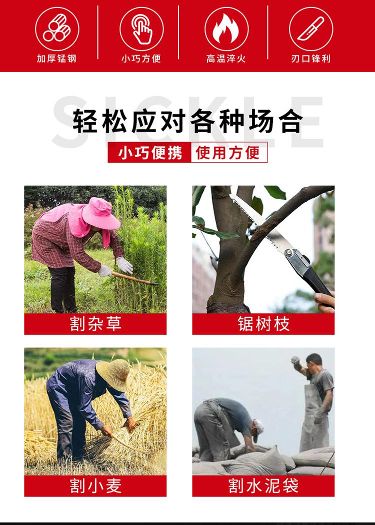 详情_02.jpg