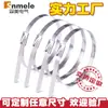 Abraçadeiras de Cabo de Aço Inoxidável 304 Fabricante Snmele Atacado 4.6*250 Abraçadeiras de Metal Autotravantes