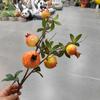 Simulação Flores e Frutas de Ano Novo Arranjo Decoração de Mesa para Sala de Estar Romã Vermelha Caqui Fruta Vermelha Balde da Sorte Segurando Balde