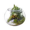 Acuario de Plástico, Tanque de Imitación de Cristal de Alta Definición Anticaídas para Mascotas, Tanque Transparente para Peces Dorados, Tanque para Peces Pequeños Tropicales, Tanque para Tortugas con Micro-Paisaje