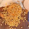 Senshe Lingote de Oro Artificial Mini Oro de Arena Oro Sólido Pequeño Lingote Semilla de Melón Dorado Ábaco Deseoso Barra de Oro Sólido Arroz