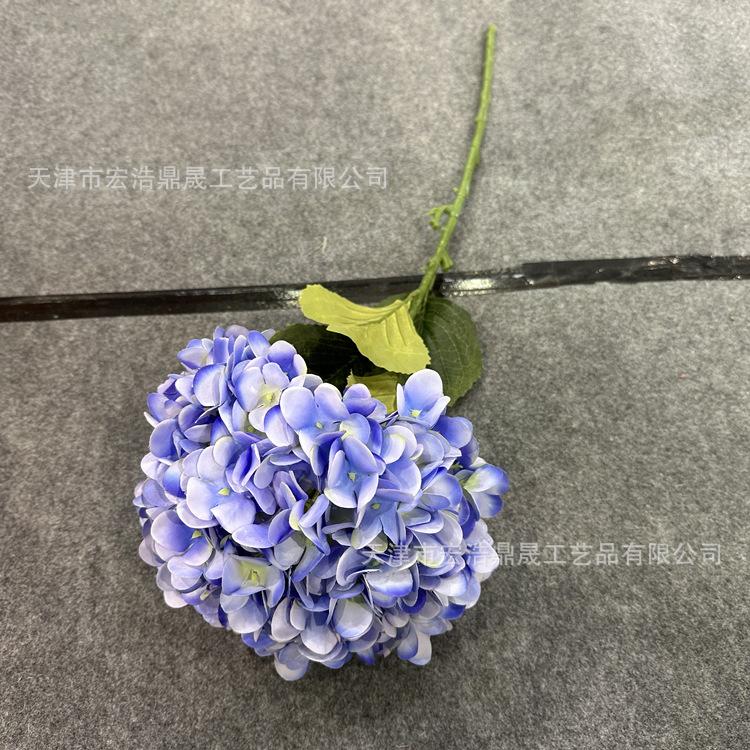 微信图片_202302211558135_副本