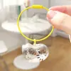 Colgante Transparente de Acrílico de Alta Calidad Almacenamiento de Pelo de Mascota Gato Recuerdo de Pelo de Perro Llavero Adorno