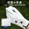 Guantes de Golf, Piel de Cordero, Mano Izquierda, Pieza Única, Resistentes al Desgaste, Transpirables, de Cuero para Hombre, Transpirables, Antideslizantes, Estilo Nuevo, para Mujer