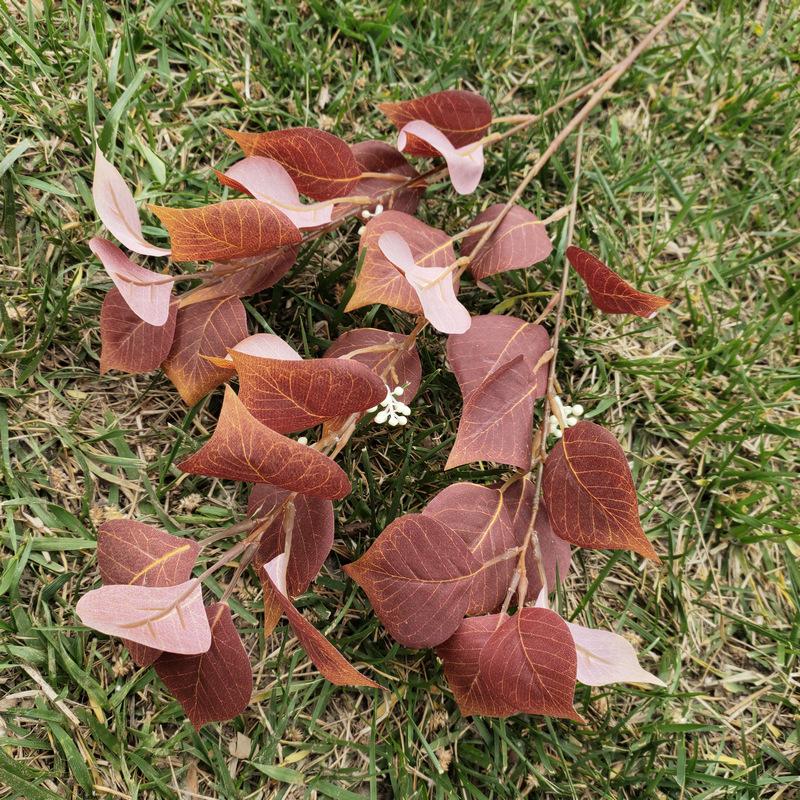 菩提叶2号咖啡色