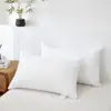 Núcleo de Travesseiro para Hotéis Cinco Estrelas, Não Amassa, Protege o Pescoço, Núcleo de Travesseiro para Uso Doméstico de Adultos, Peça Única, Personalizável