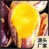 Fruta de Ginseng de Gansu, fresca, caja completa con envío gratis, fruta de ginseng de pulpa amarilla, fruta grande y larga
