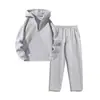 Conjunto de Sudadera con Capucha Casual de Solapa y Media Cremallera para Mujer, Pantalones Deportivos Rectos, Primavera y Otoño Transfronterizos, Estilo Europeo y Americano
