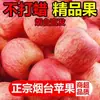 Manzanas de Yantai, Shandong, Frescas y Crujientes, Fruta Dulce de Temporada, Manzanas Nuevas con Corazón de Azúcar, Al por Mayor