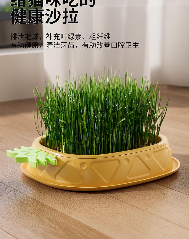 详情页 (4).png