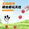 Brinquedo Sonoro para Roer de Pet Brinquedo para Alívio do Estresse Brinquedo de Simulação Bola Brinquedo Bola de Expressão