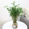 Arroz plántulas en maceta de bambú plantas hidropónicas interior pequeño bambú Fénix plantas verdes de escritorio micro bonsái plántulas de bambú bambú ornamental