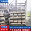 Estanterías para Hongos de Invernadero, Rejillas para Cultivo de Hongos Comestibles, Paneles de Malla para Cultivo de Hongos Recubiertos de Plástico, Estanterías para Cultivo de Hongos, Estanterías para Germinación de Hongos, Estanterías para Producción de Hongos