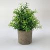 Amazon transfronterizo planta pequeña en maceta simulación planta verde estilo nórdico decoración del hogar adornos de escritorio mini planta bonsái