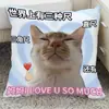 Regalo Cálido de Cumpleaños para el Día de la Madre para Mamá Cojín Decorativo para Sofá de Sala de Estar Almohada de Regalo