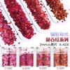 Nail art glitter lantejoulas glitter pó gradiente conjunto azul roxo 123mm misto esmalte joias material gota de cola