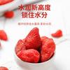 Fresas Secas Empacadas, Frutas Confitadas, Fabricantes Mayoristas de Frutas Secas, Conservas Decorativas de Fresa, Alimentos de Frutas al por Mayor, Snacks para Montar un Puesto