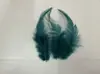 Venda direta do fabricante: penas longas vermelhas pontiagudas, penas de galinha coloridas, apanhadores de sonhos, varinhas para gatos, acessórios decorativos, materiais para artesanato DIY