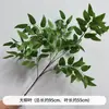 Capim Espargo, Capim Bigode de Dragão, Paisagismo de Plantas, Folhagem, Banquete de Casamento e Noivado, Display de Janela Suspenso Estilo Floresta, Arranjo Floral