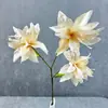 Tela de lija mate 3 Orquídea Lirio Boda camino plomo simulación Flor decoración hogar escritorio exhibición simulación planta verde