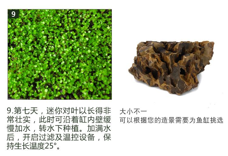 详情图13.jpg