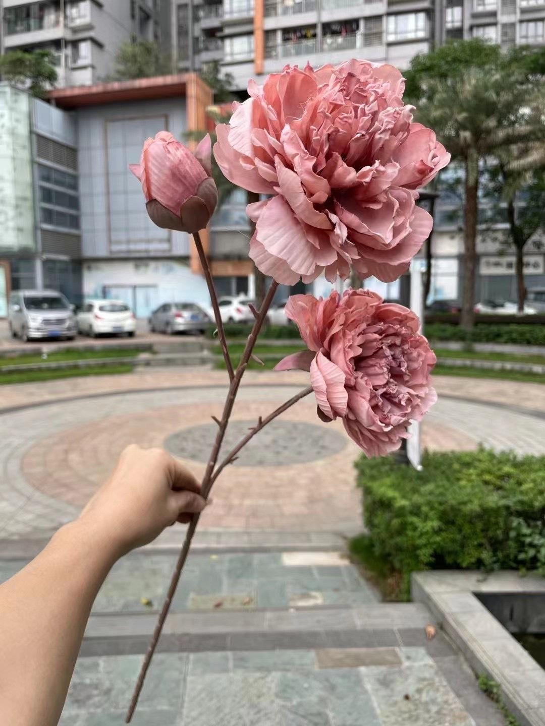 微信图片_20211102101544