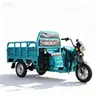Triciclo eléctrico marca Pioneer para uso doméstico, puestos de mercado, uso agrícola, subir colinas, transportar mercancías, vehículo de reparto de alta resistencia, venta directa del fabricante