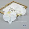 Flor Simulada Tecido de Seda Flor Orquídea Borboleta Impressa em 3D Chapéu de Sol Chapéu de Bacharel Flor Decorativa DIY Caixa de Flores Caixa de Presente com Flores