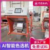 Máquina Classificadora de Cor de Alho Chinesa e Alemã, Máquina Classificadora de Cor de Dente de Alho Tipo Esteira, Classificação de Pimenta, Remoção de Grãos de Café, Peneiração de Minério