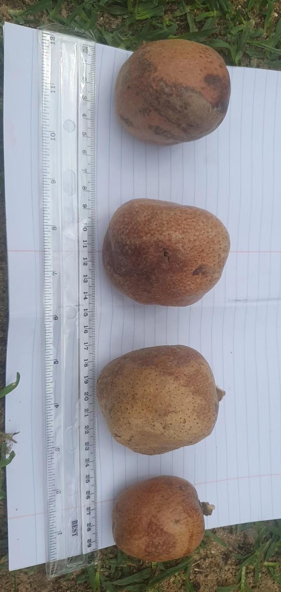 微信图片_20220430144306