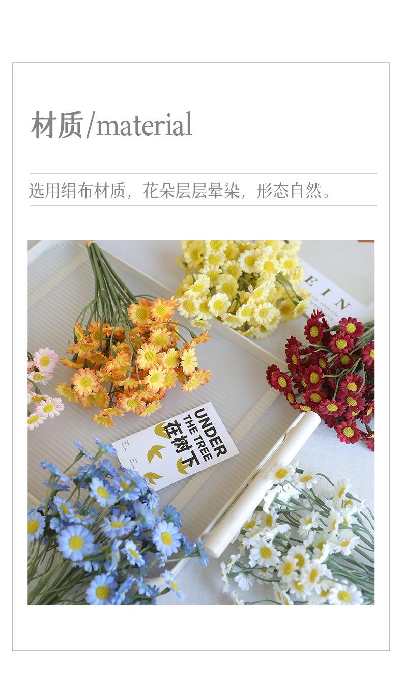 妙彤6枝手札小雏菊_02.jpg
