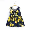 Vestidos de Verano 2026 para Niñas, Dulces Vestidos sin Mangas de Cuello Redondo, Suministros del Fabricante Vestidos Cómodos de Princesa Transfronterizos