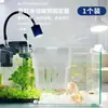 Suporte para fixação de plantas hidropônicas de aquário, cesto de plantio, montado na parede, copo para plantio de plantas aquáticas domésticas, decoração paisagística de aquário, vaso de flores