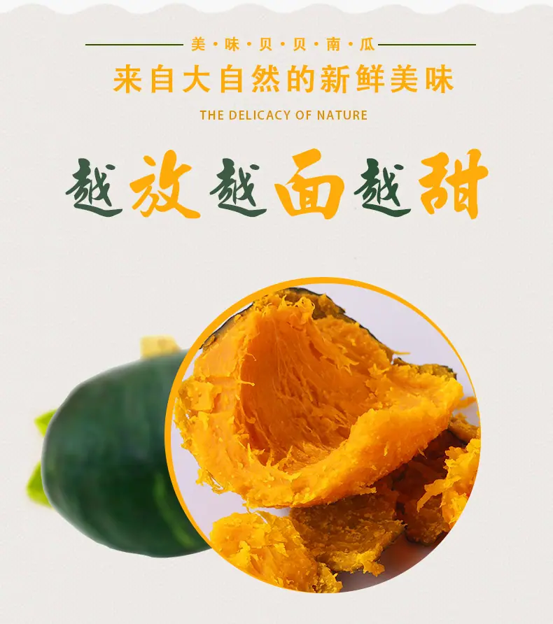 山东惠和一号贝贝南瓜 代发3/5斤粉糯板栗味宝宝辅食吊瓜新鲜蔬菜详情图4