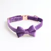 Collar de terciopelo Aminger para mascotas, nuevo collar con lazo para perro, oro rosa, hebilla metálica completa, borde cruzado, gran oferta.