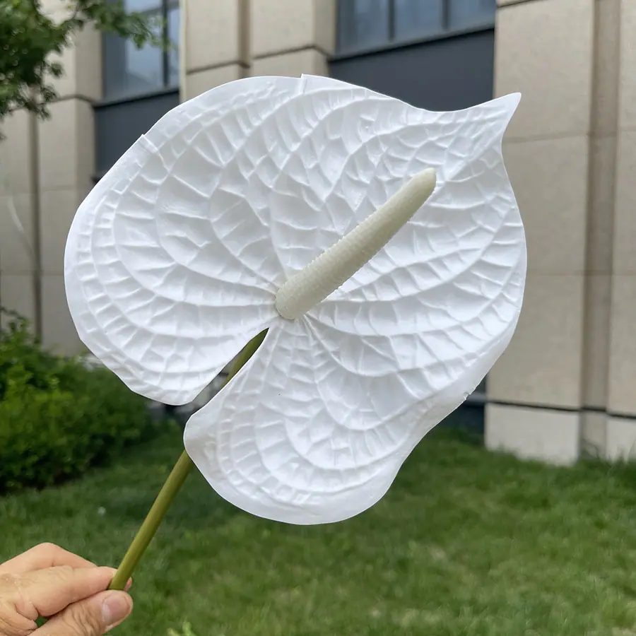 1号3D打印大红掌-xjmlkx 1#纯白.JPG