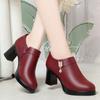 Elegantes Zapatos de Mujer de Tacón Alto, Nuevo Estilo Primavera y Otoño 2025, Zapatos de Corte Bajo Individuales, Tacón Grueso, Zapatos de Cuero Versátiles, Zapatos para Madres de Mediana Edad
