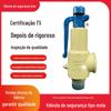 Válvula de segurança roscada de mola totalmente aberta A28H-16, direto da fábrica, material de ferro fundido