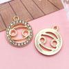 Doce Signos del Zodiaco Signos del Zodiaco Transfronterizos con Diamantes Accesorios de Aleación Combinación DIY Collar Pendientes Colgante Accesorios Colgantes